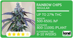 Discovering High-Quality Cannabis Seeds in Iowa Discovering High-Quality Cannabis Seeds in Iowa